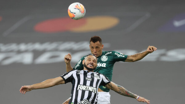 Handlettering  Palmeiras não tem mundial, Pensamentos, Festa de